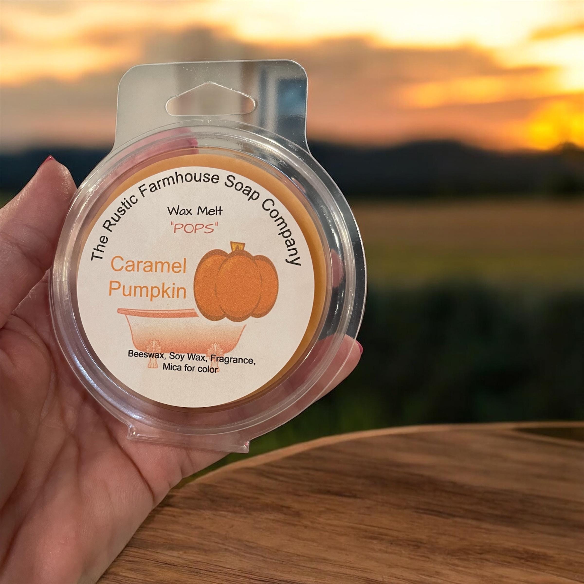 Highly Scented Beeswax Soy Wax Melts: Wax Melt POPS