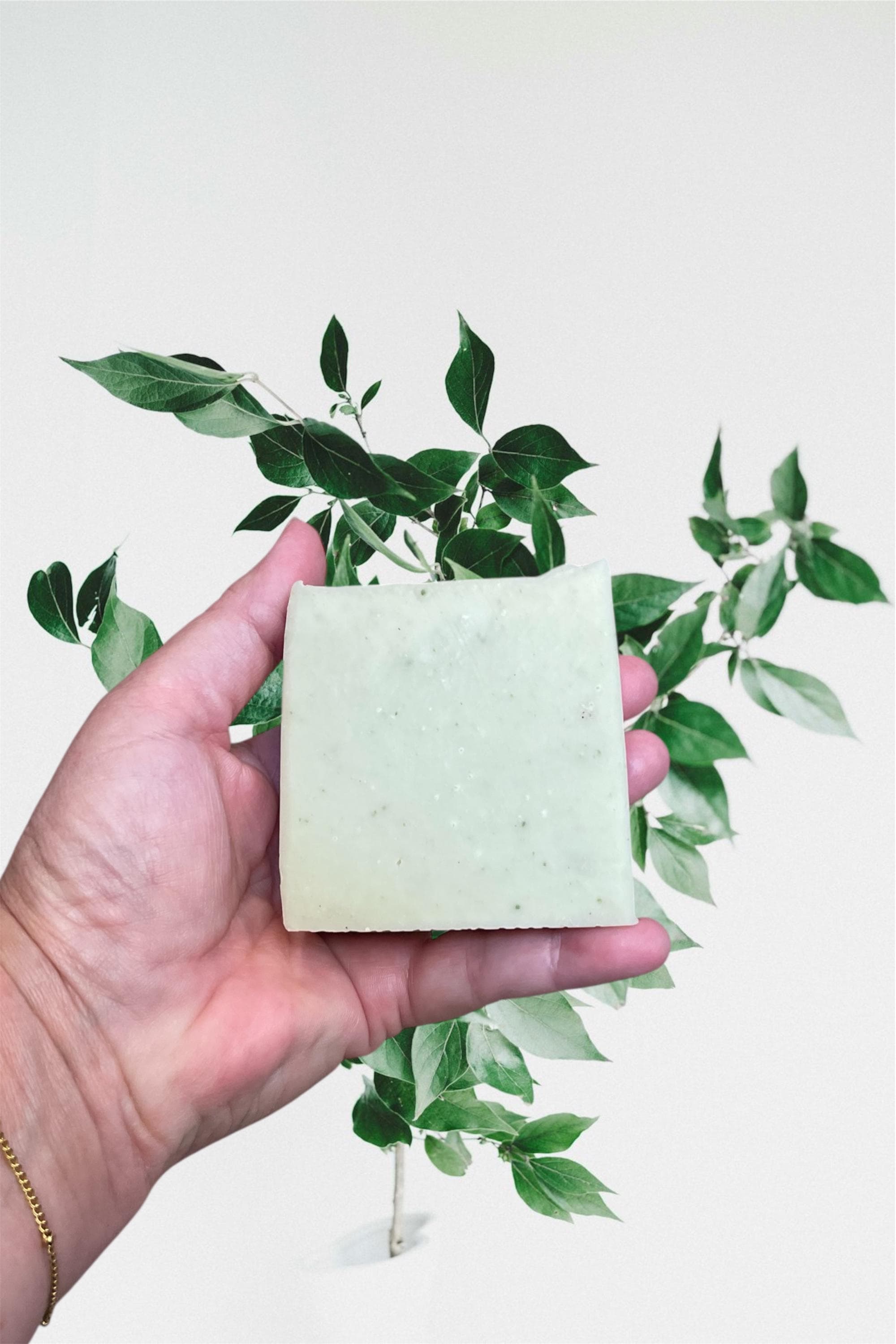 Handcrafted Pumice Soap: Gardener's Exfoliating Shea Butter Bar